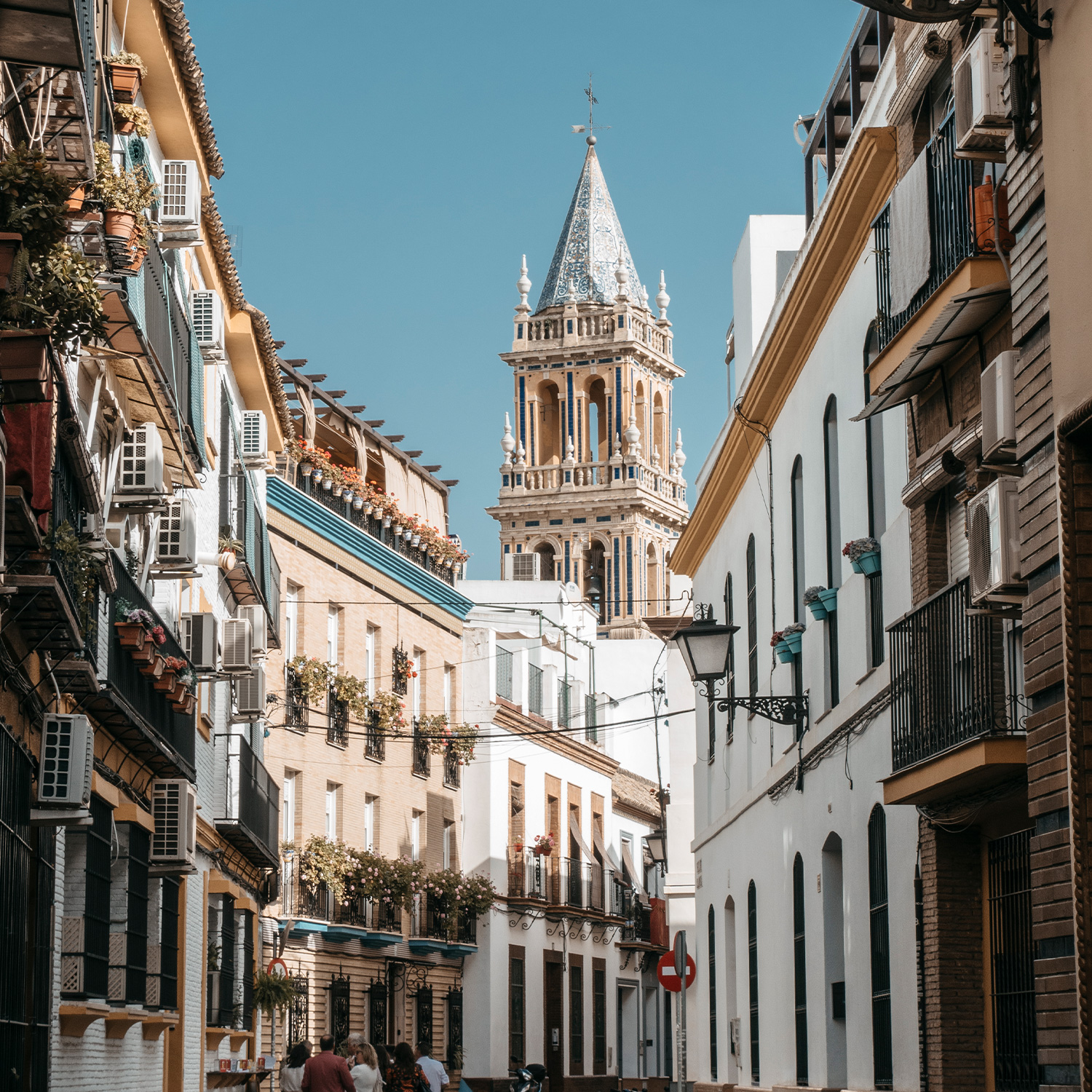 Campus Sevilla - MásVida